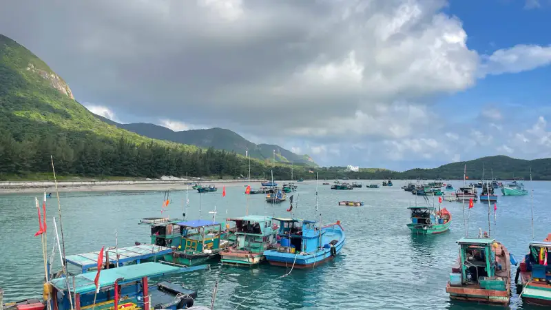 Bãi biển Họng Dầm - ảnh 5